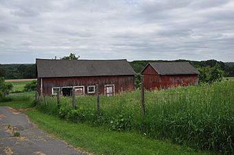 SuffieldCT HilltopFarm 3.jpg