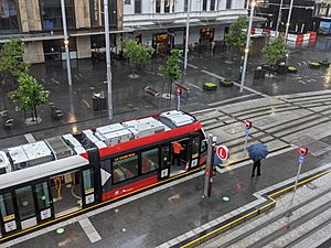 Sydney Light Rail 05