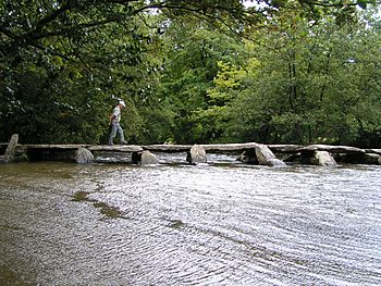 Tarr Steps 02.jpg