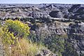 Theodore Roosevelt National Park