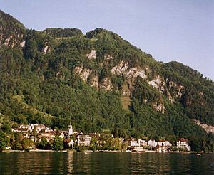 Vitznau from lake