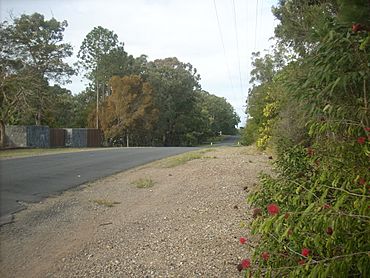 Warriewood Street Chandler.JPG