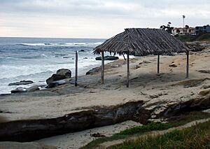 WindanseaBeachShack