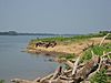 Yankeetown Archeological Site