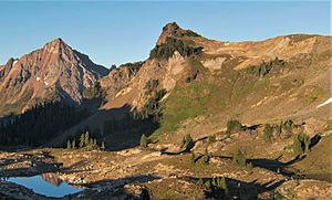 Yellow Aster Butte