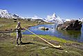 1 alphorn player zermatt