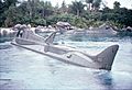 20000 Leagues Ride 1979