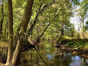 2013-05-04 12 53 55 View west along the Assunpink Creek in West Windsor Township in New Jersey