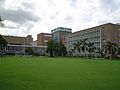 AIIMS central lawn