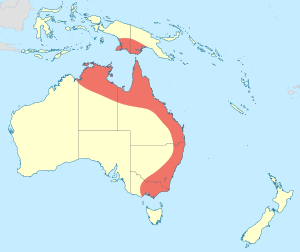 Austrocnemis distribution map.svg