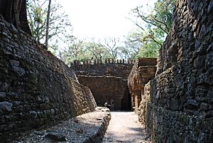 BackpassagelookinBldg19Yaxchilan