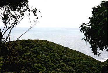 Bouddi NP.JPG