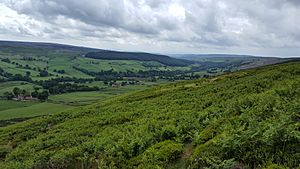 Bransdale view from Bransdale ridge