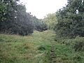 Brent reservoir nature reserve