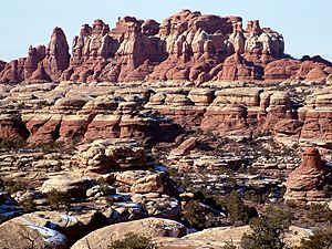 Canyonlands Needles