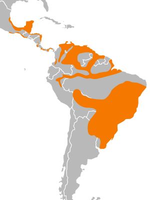 Cathartes burrovianus distribution.svg