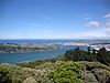 Dunedin from Signal Hill 391.JPG