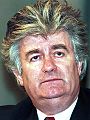 Evstafiev-Radovan Karadzic 3MAR94