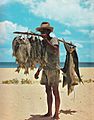 Fisherman and his catch Seychelles