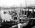 Fishing boats in the harbor at Petersburg, Alaska, nd (COBB 243)