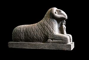 Granite ram of Amun with King Taharqa-IMG 4396-black