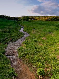 Headwater Stream (1)