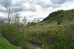 Hop Brook, Tyringham MA