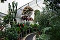 Inside Palm House