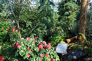 Inside of muttart conservatory