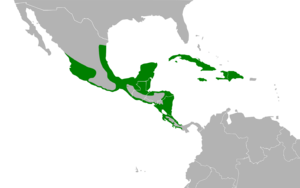 Jacana spinosa map.svg