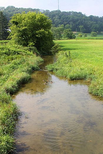 Limestone Run looking downstream.JPG