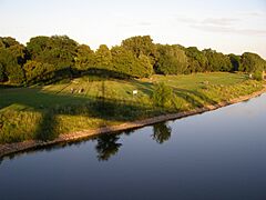 Magdeburg Sternbrucke 2