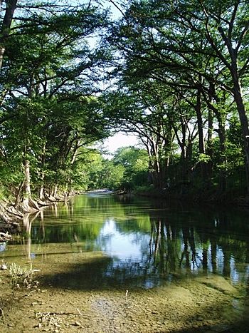 Medina river.jpg