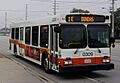 Mississauga Transit Bus 0309.jpg