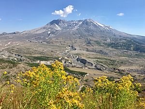 Mt St Helens NVM July 2018.jpg