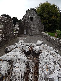 Newtown Trim Cathedral