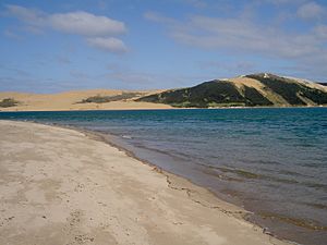 Opononi beach