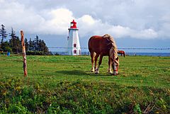 Panmure island lighthouse