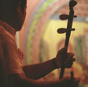 Performer with erhu, photographed Singapore February 1969 × July 1971