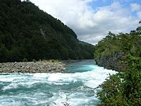 Petrohue river