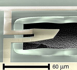 QuantumMachine SEM MechanicalResonator