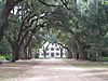 Rosedown Plantation 2008.jpg