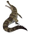 Sarcosuchus Illustration