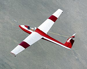 Schweizer 1-36 NASA