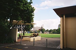 St Peter's College cricket field and Outhwaite Park