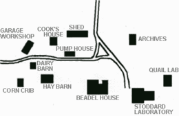 Tall Timbers Diagram