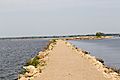 Terrell's Island Breakwall