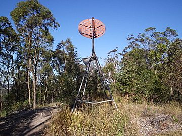 The Top of Mount Petrie.JPG