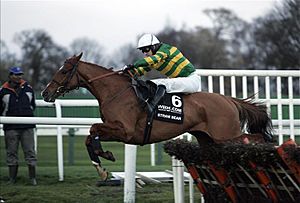 Tony mccoy