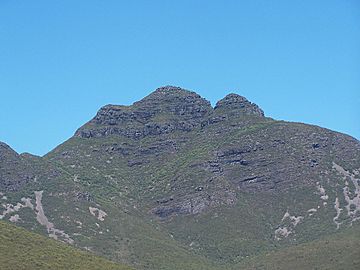 Toolbrunup gnangarra.jpg